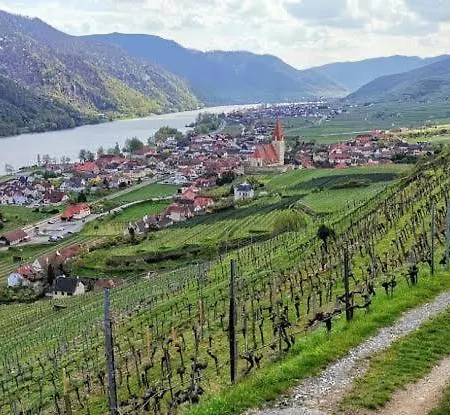 Fleur Star Wachau *